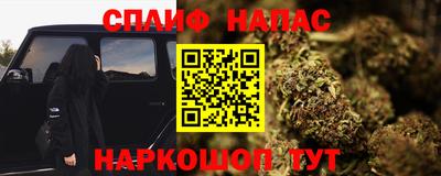гашик Будённовск