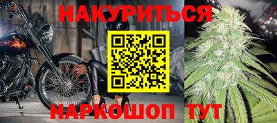 гашик Будённовск