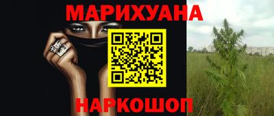 гашик Будённовск
