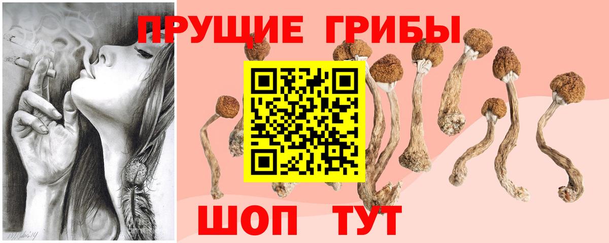 Псилоцибиновые грибы Psilocybine cubensis  Вход с VPN  Белореченск  Галлюциногенные грибы MAGIC MUSHROOMS 